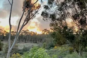 2835 Hillsboro Ct, Carlsbad, CA 92010 - Photo 1