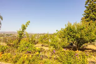 444 N El Camino Real, Encinitas, CA 92024 - Photo 41