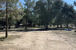 30247 Chihuahua Valley Rd, Warner Springs, CA 92086 - Photo 5