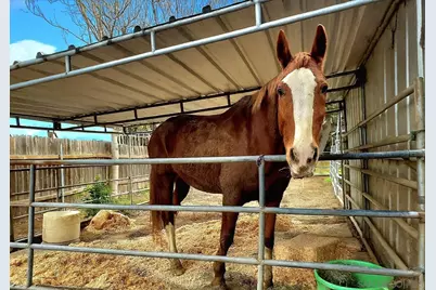  14153 Ezra Ln, Poway, CA 92064 - Photo 9