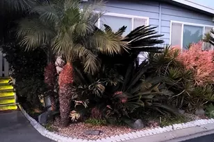 7004 San Bartolo, Carlsbad, CA 92011 - Photo 33