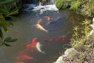 4035 Carmel View Rd, San Diego, CA 92130 - Photo 17