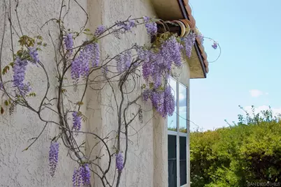  32137 Cerrada Del Coyote, Warner Springs, CA 92086 - Photo 27