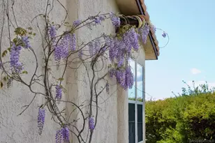 32137 Cerrada del Coyote, Warner Springs, CA 92086 - Photo 27