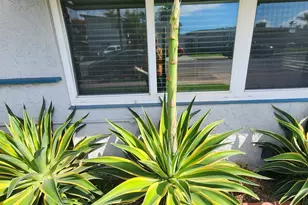 5051 63rd St, San Diego, CA 92115 - Photo 27