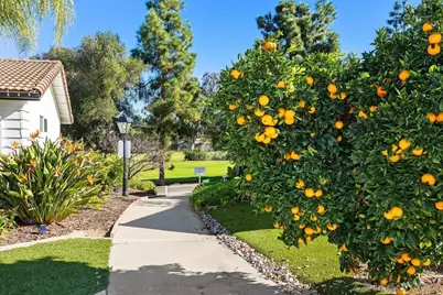  12039 Caminito Cadena, San Diego, CA 92128 - Photo 31