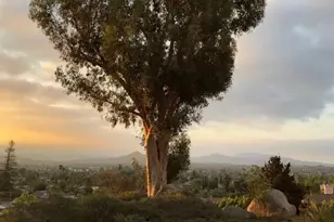 1412 Timber Glen, Escondido, CA 92027 - Photo 31