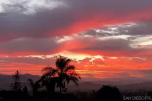 1412 Timber Glen, Escondido, CA 92027 - Photo 35