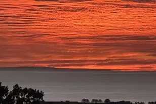 7215 Daffodil Pl, Carlsbad, CA 92011 - Photo 47