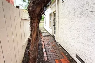 248 Avenida De Los Claveles, Encinitas, CA 92024 - Photo 69