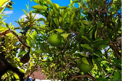  3612 Polk Avenue, San Diego, CA 92104 - Photo 37