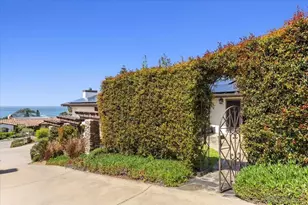 1141 Luneta Dr, Del Mar, CA 92014 - Photo 59