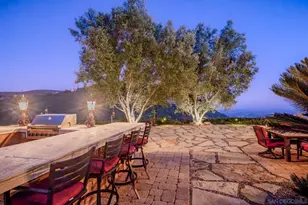 18113 El Brazo, Rancho Santa Fe, CA 92067 - Photo 29