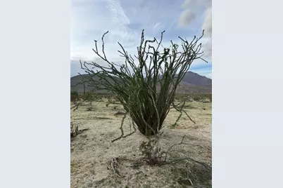  78 Broken Arrow #78, Borrego Springs, CA 92004 - Photo 13