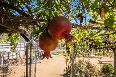  74 E St, Chula Vista, CA 91910 - Photo 21