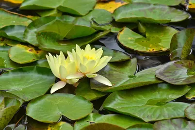  4600 Lamont St #102, San Diego, CA 92109 - Photo 25