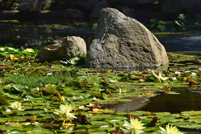  4600 Lamont St #102, San Diego, CA 92109 - Photo 27