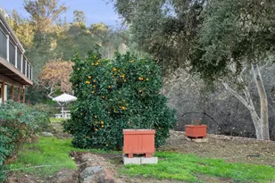 1165 Midway Dr, Alpine, CA 91901 - Photo 55