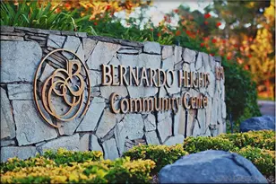 16232 Avenida Venusto, San Diego, CA 92128 - Photo 37