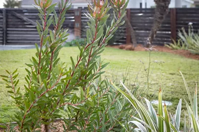  1028 Daisy Ave, Carlsbad, CA 92011 - Photo 23