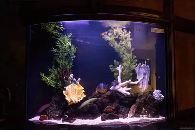  3921 Ocean Front Walk, San Diego, CA 92109 - Photo 13