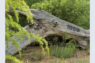  1068 W Incense Cedar Road, Julian, CA 92036 - Photo 63