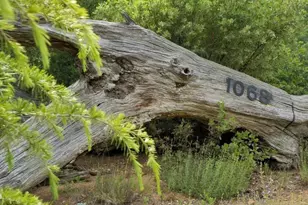 1068 W Incense Cedar Rd, Julian, CA 92036 - Photo 63