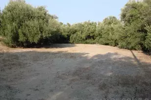 1252 Navel Pl, Vista, CA 92081 - Photo 1