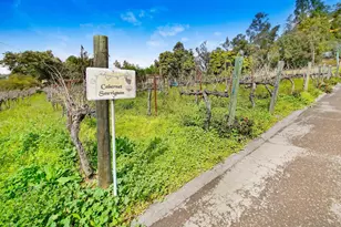 16757 Old Guejito Grade Rd, Escondido, CA 92027 - Photo 37