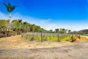 16757 Old Guejito Grade Rd, Escondido, CA 92027 - Photo 41