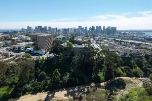 2568 Albatross St, San Diego, CA 92101 - Photo 39