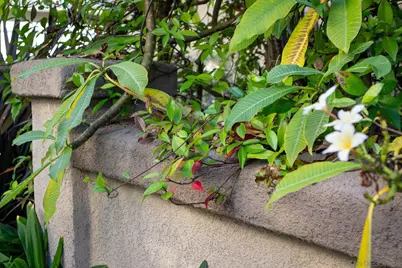  10447 Whitcomb Way #161, San Diego, CA 92127 - Photo 31