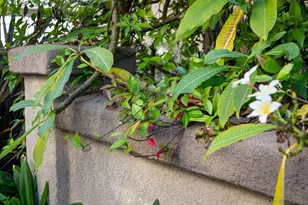 10447 Whitcomb Way, San Diego, CA 92127 - Photo 31