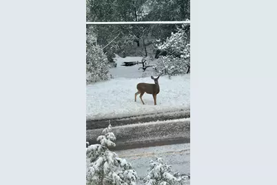  27720 Saunders Meadow Rd, Idyllwild, CA 92549 - Photo 53