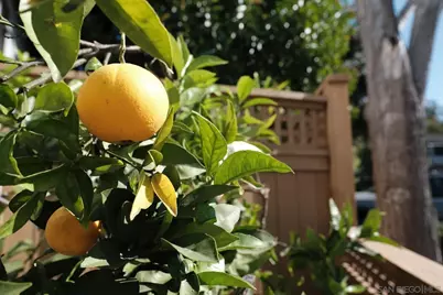  6306 Caminito Del Cervato, San Diego, CA 92111 - Photo 29