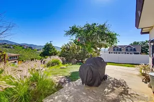 9149 Oso Rd, Spring Valley, CA 91977 - Photo 39