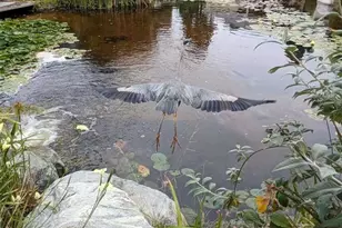 12245 Carmel Vista Rd, San Diego, CA 92130 - Photo 31