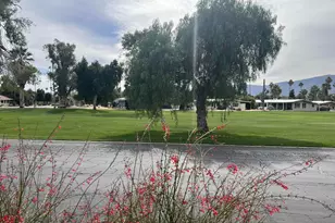 1010 Palm Canyon Dr, Borrego Springs, CA 92004 - Photo 3