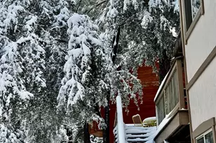 27720 Saunders Meadow Rd, Idyllwild, CA 92549 - Photo 51