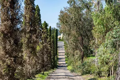  18024 Avenida Alondra, Rancho Santa Fe, CA 92067 - Photo 3