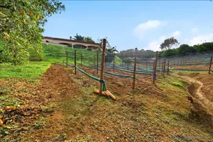 11568 Minneola Cir, Valley Center, CA 92082 - Photo 51