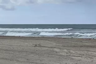 725 Redondo Ct, San Diego, CA 92109 - Photo 9