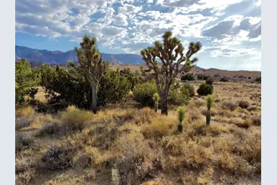  0 131st  St. #2, Juniper Hills, CA 93543 - Photo 7