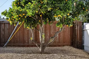 1412 Frankfort St, San Diego, CA 92110 - Photo 29