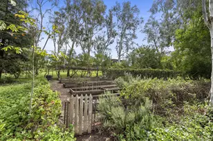 17307 Calle Mayor, Rancho Santa Fe, CA 92067 - Photo 35