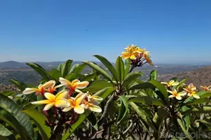 13155 McNally Rd, Valley Center, CA 92082 - Photo 55