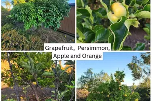 28149 Orange Terrace, Valley Center, CA 92082 - Photo 49