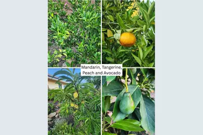  28149 Orange Terrace, Valley Center, CA 92082 - Photo 51