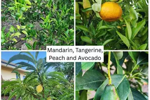 28149 Orange Terrace, Valley Center, CA 92082 - Photo 51