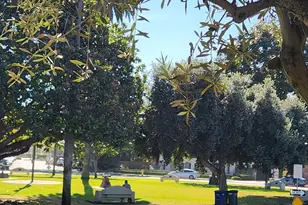 1155 Star Park Cir, Coronado, CA 92118 - Photo 29